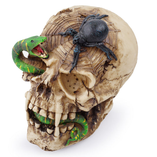 Resin Skull Human Animal Skull Snake Ornament Halloween
